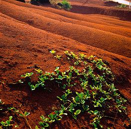 《无主之地4》新星球全新截图 展示四大无缝连接的地区